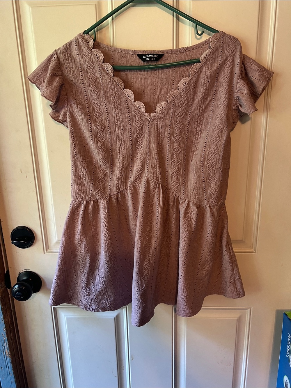 Bloomchic Mauve Eyelet Trim V-neck with flutter sleeves size US12/Large